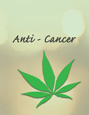 United patient's group article on cannabis and its effects on breast cancer. Dr. Christina Sanchez: The Importance of Both THC and CBD in Breast