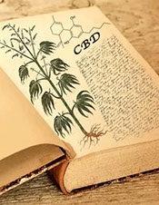 Project CBD's beginner’s guide for cannabidiol & cannabis therapeutics to address key questions of CBD users.