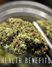 Business Insider article on the health beneifts of marijuana