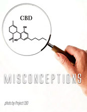 Project CBD article on the misconceptions of CBD and cannabis